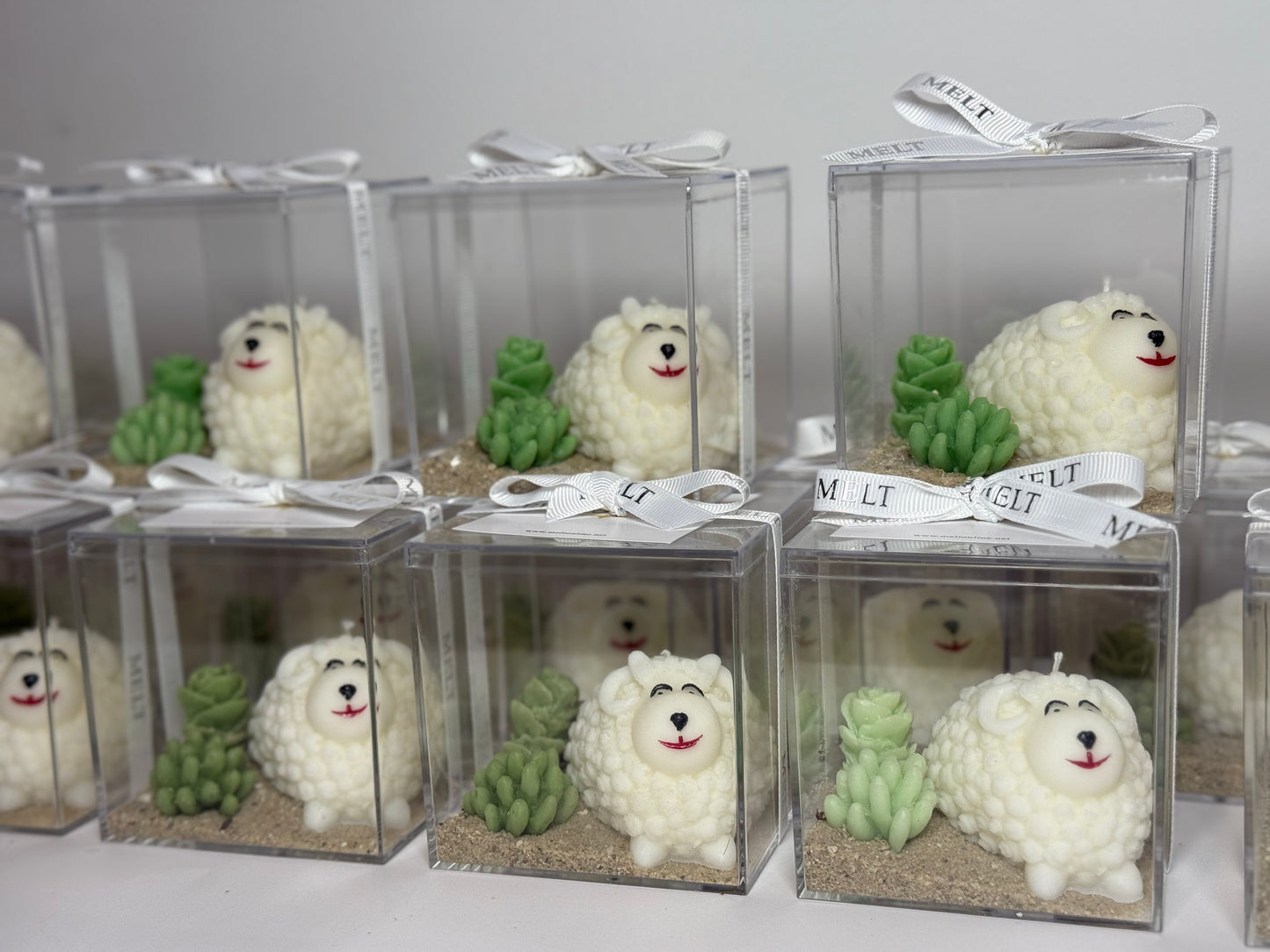 علبة خروف الاضحى - Adha sheep box